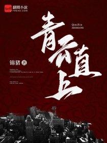 传奇裁判巨西城