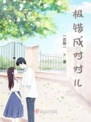 错极是什么意思