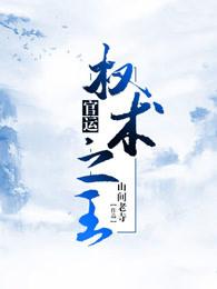 权术之王作者