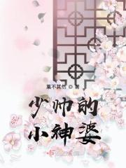 少帅的小妻子