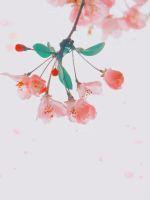 将军农妇要种田