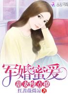 军婚蜜爱甜妻慢点撩