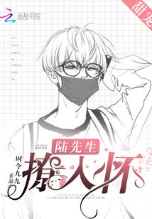 陆先生撩妻手则