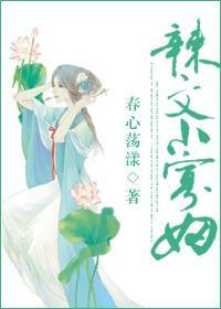 辣文小寡妇目录