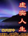 人生虚实作文