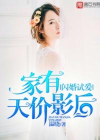 家有天价影后全文免费阅读