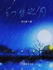 幻梦之月高存则全文阅读最新章节