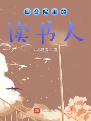 讲四合院的书