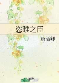 窃明灰熊猫