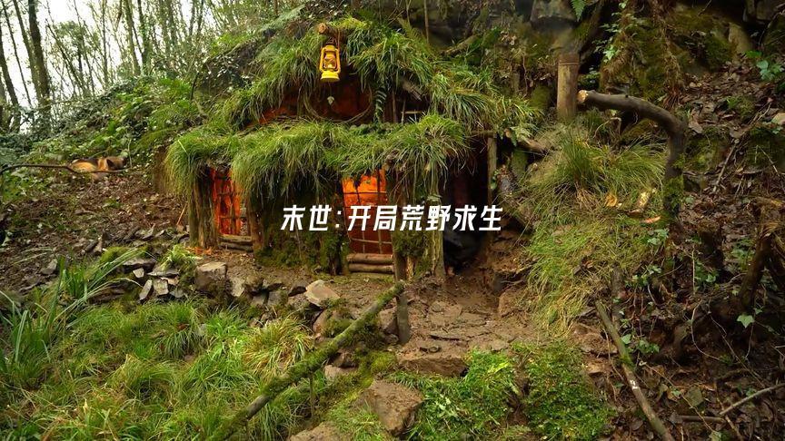 厉少的神秘哑妻舒窈