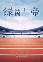 西汉骠骑大将军